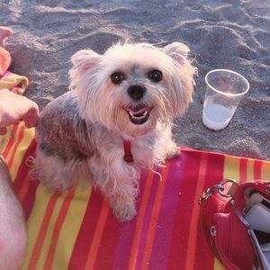 Meet your Posher, Sasi